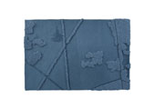 Tapis Robin